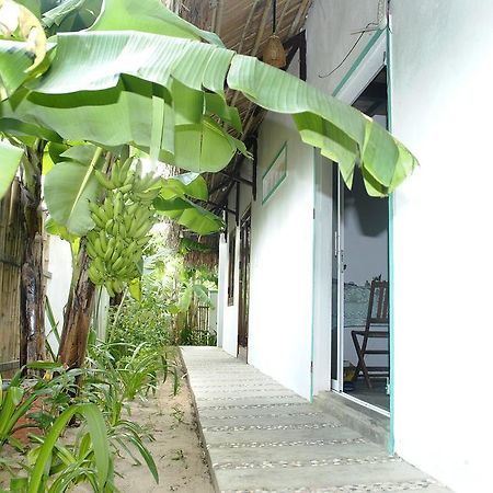 An Bang Little Family Apartment Hội An Ngoại thất bức ảnh